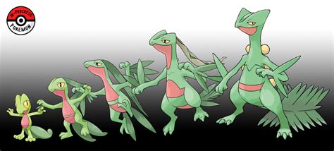 treecko evolution|Treecko (Pokémon) .